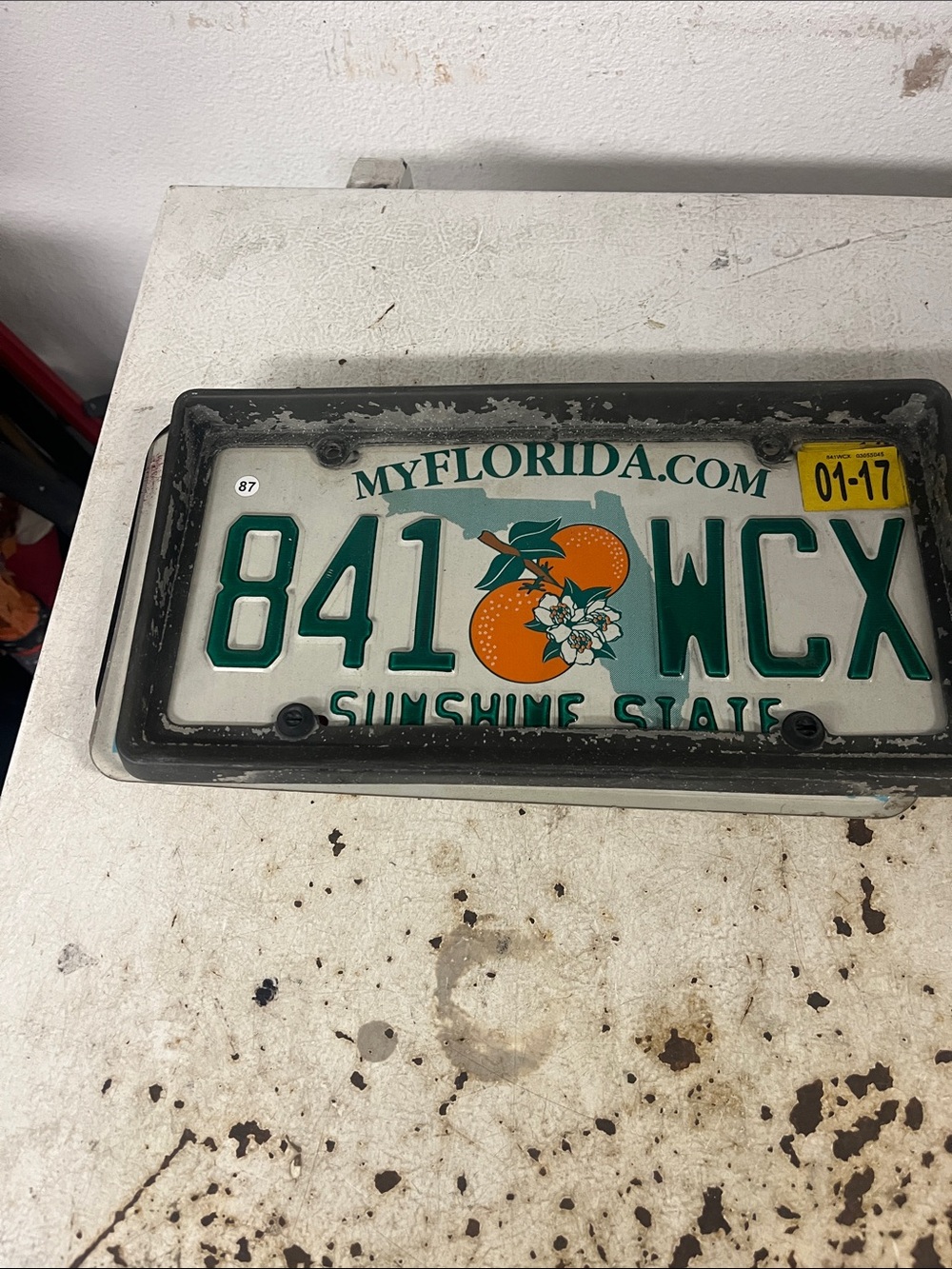 Florida …87…Sunshine State License Plate with Orange Graphic